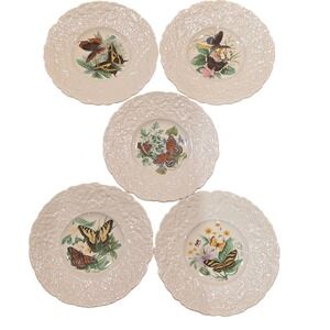 Royal Cauldon Butterflies of the World Plates‎ Set of 5 Holmes Gray England